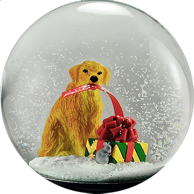 Windsor Humane Society - Snow Globe (380x380), Png Download