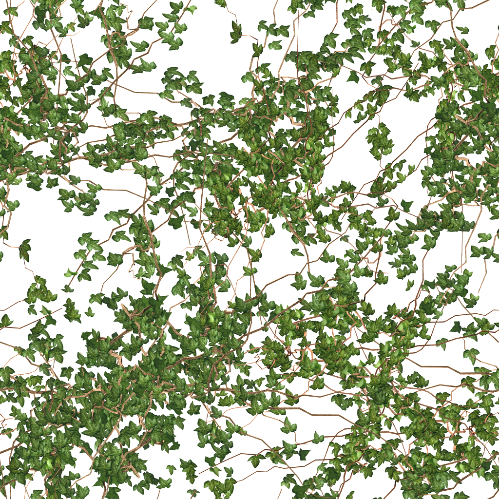 Seamless Floor/wall Vine Photo Tru Textures Vine 14 - Photograph (1024x1024), Png Download