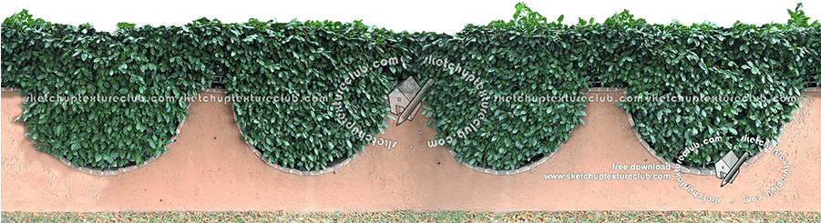 17686 Cut-out Hedge Texture Seamless With Concrete - Hedge (900x265), Png Download