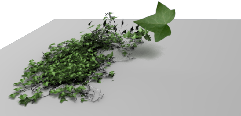 Texture Problem 2 50 193 Kb - Leaf Vegetable (788x420), Png Download