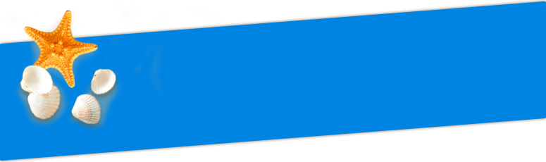 Familias En La Playa Png (775x230), Png Download