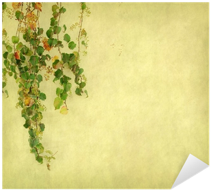 Green Ivy On Old Grunge Antique Paper Texture Sticker - Texture (400x400), Png Download