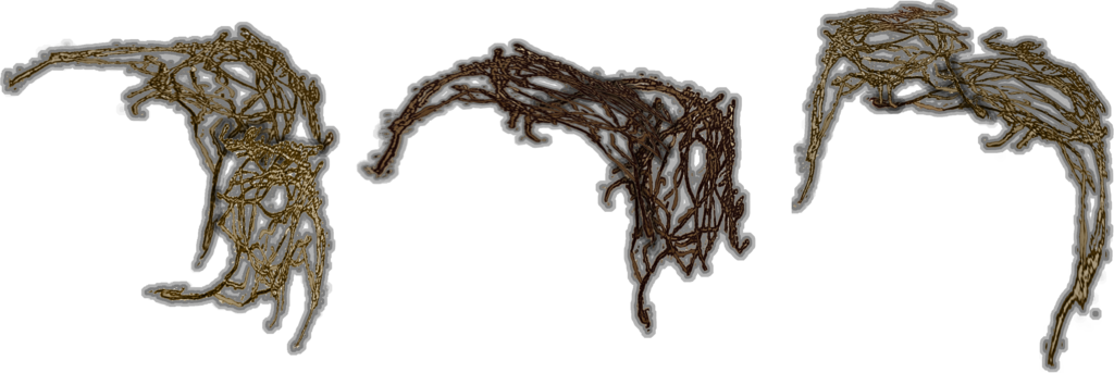 Against The Grey Stone Textures, And One A Little More - Thread (1024x343), Png Download