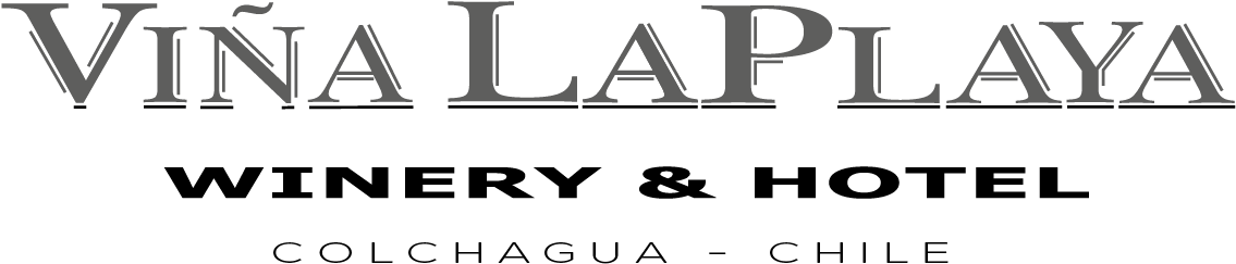 Hotel Viña La Playa - Black-and-white (1308x432), Png Download