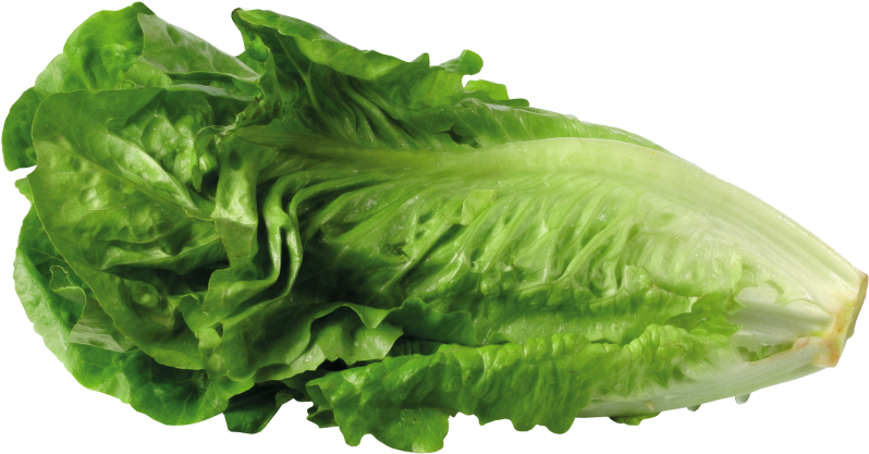 Lettuce (815x435), Png Download