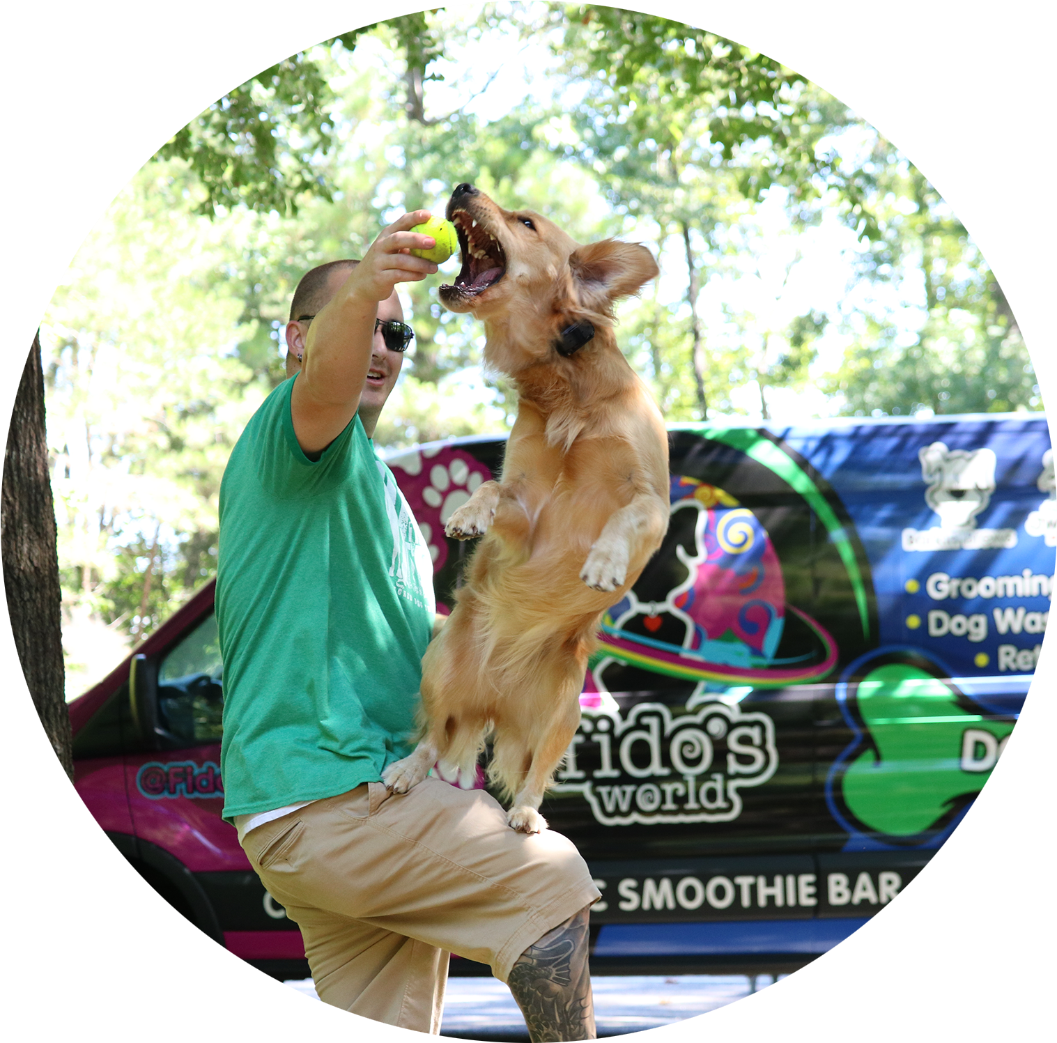 Board And Train - Dog Catches Something (1800x1800), Png Download