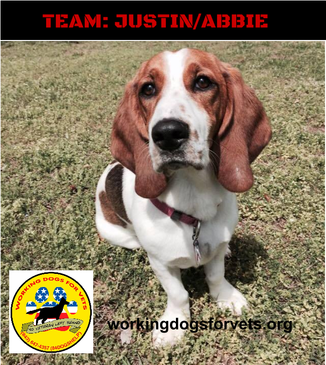 Team - Justin/abbie - Beagle (960x720), Png Download