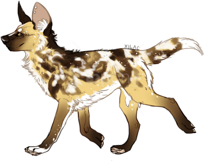 Free Png Download Wild Dogs Png Images Background Png - African Wild Dog Art (850x683), Png Download