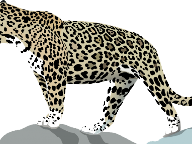 Claw Scratch Clipart Jaguar - Jaguar Animal (640x480), Png Download