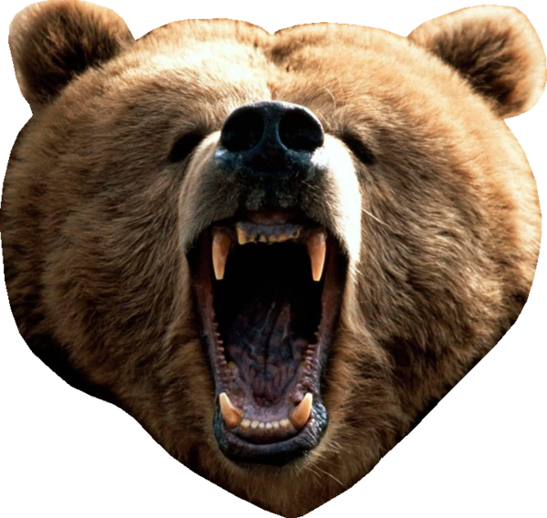 600 X 568 1 - Bear Attack (600x568), Png Download