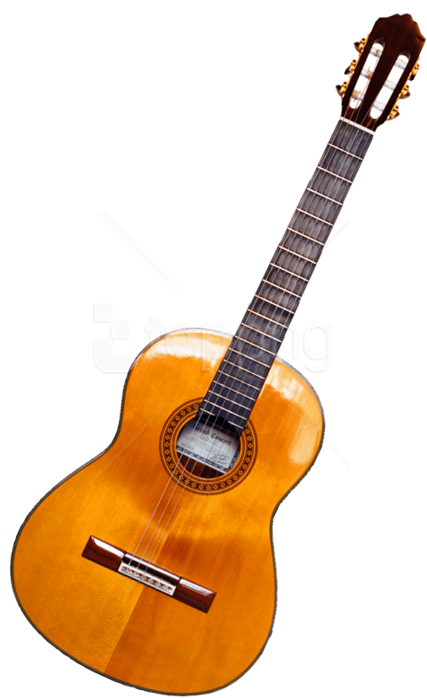 Free Png Download Electric Guitar Png Images Background - Classical Guitar (481x786), Png Download