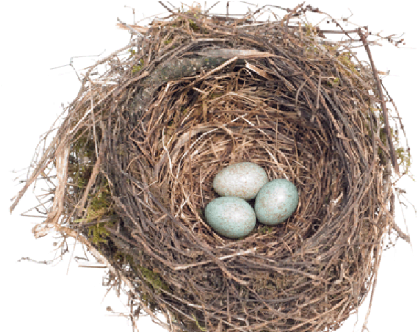 Nest (640x480), Png Download