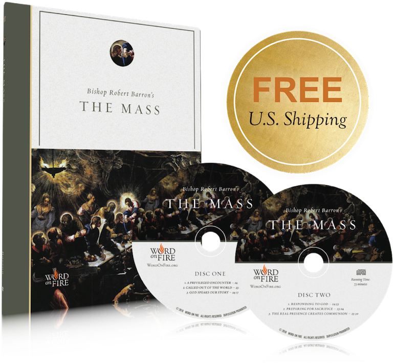 Bishop Robert Barron's - Mass By Bishop Barron (800x731), Png Download