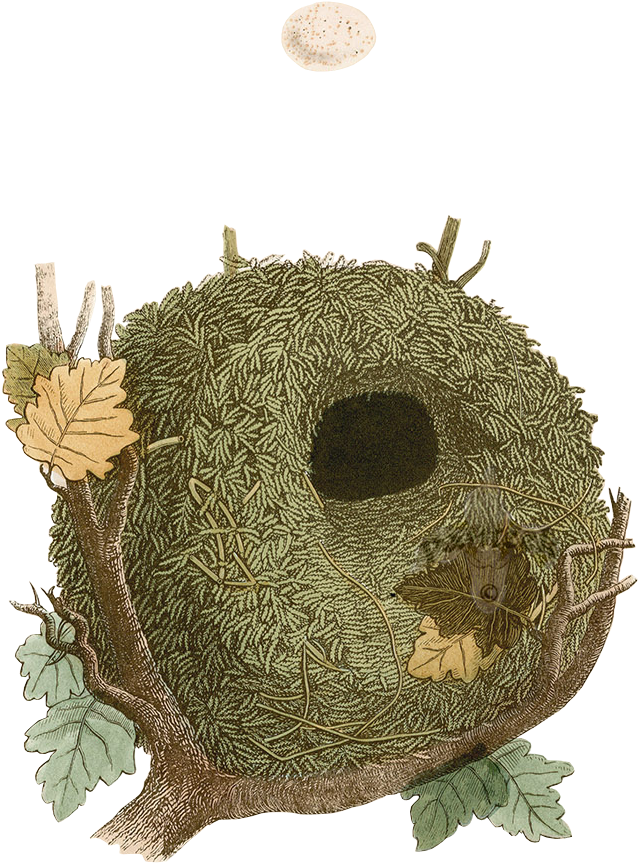 2018 Nest Holiday Hideaway - Plush (730x960), Png Download