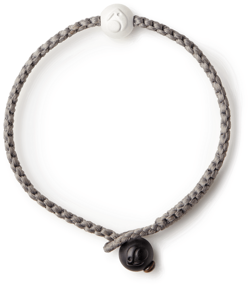 Single Wrap - Silver Michael Kors Necklace (1080x1080), Png Download