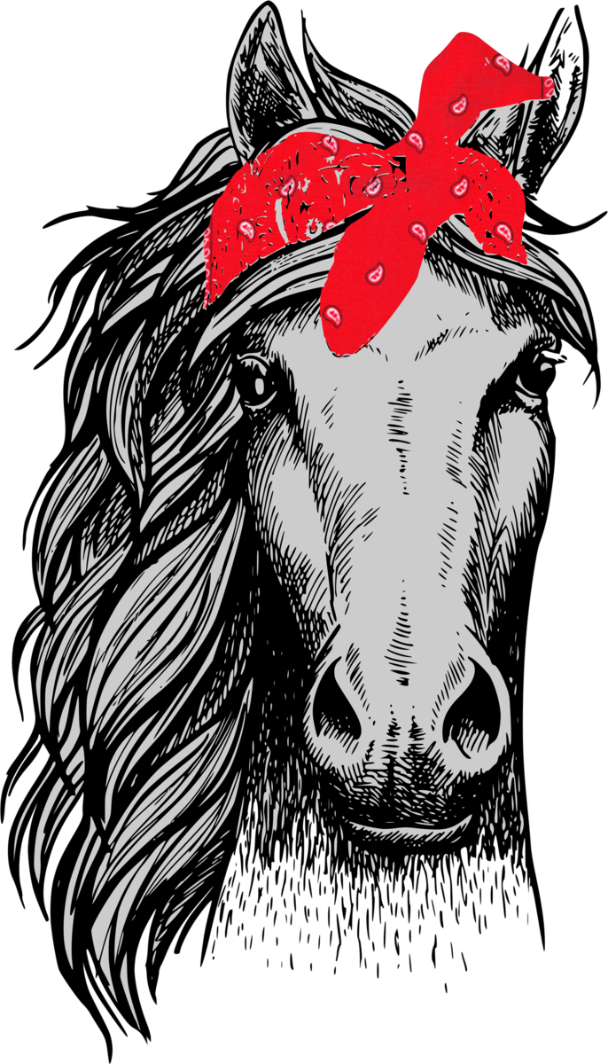 Horse Head Front View (686x1200), Png Download