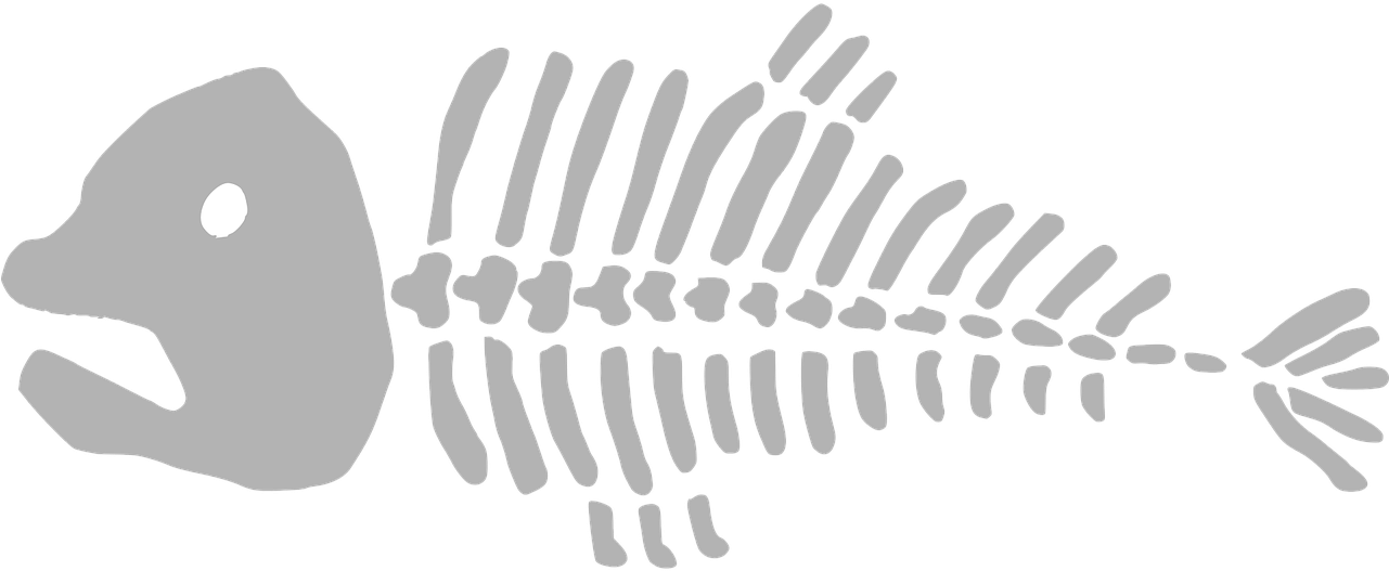 Beware Cartoon Dead - Dead Fish Skeleton Drawing Transparent (1280x640), Png Download