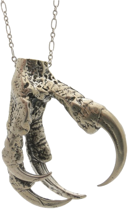 Claw Transparent Background - Owl Claw (750x750), Png Download