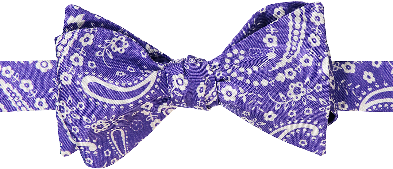 Carrot & Gibbs Bow Tie - Paisley (1280x1920), Png Download