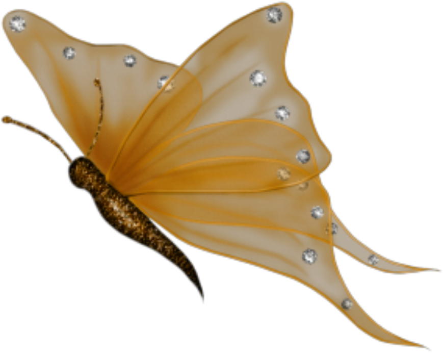 Buterffly Sticker - Transparent Background Butterfly Png (1024x1024), Png Download