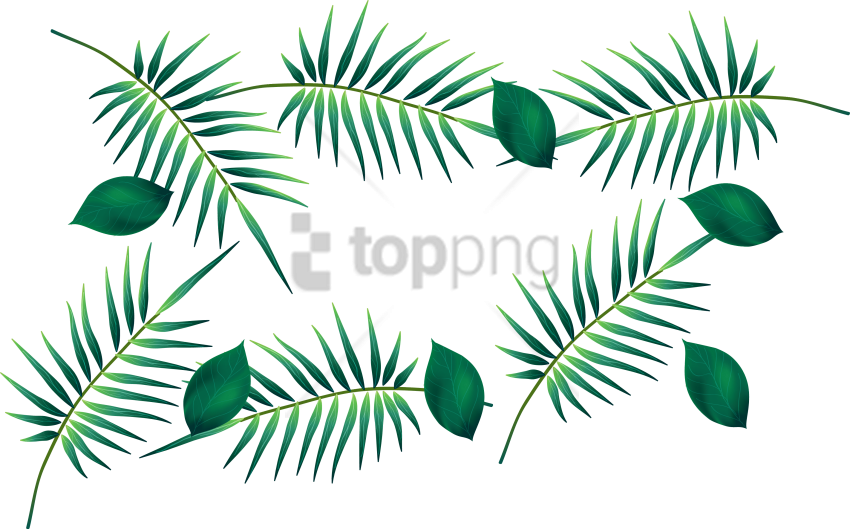 Free Png Download Palm Leaf Watercolour Transparent - Hojas Dibujo Vector (850x529), Png Download