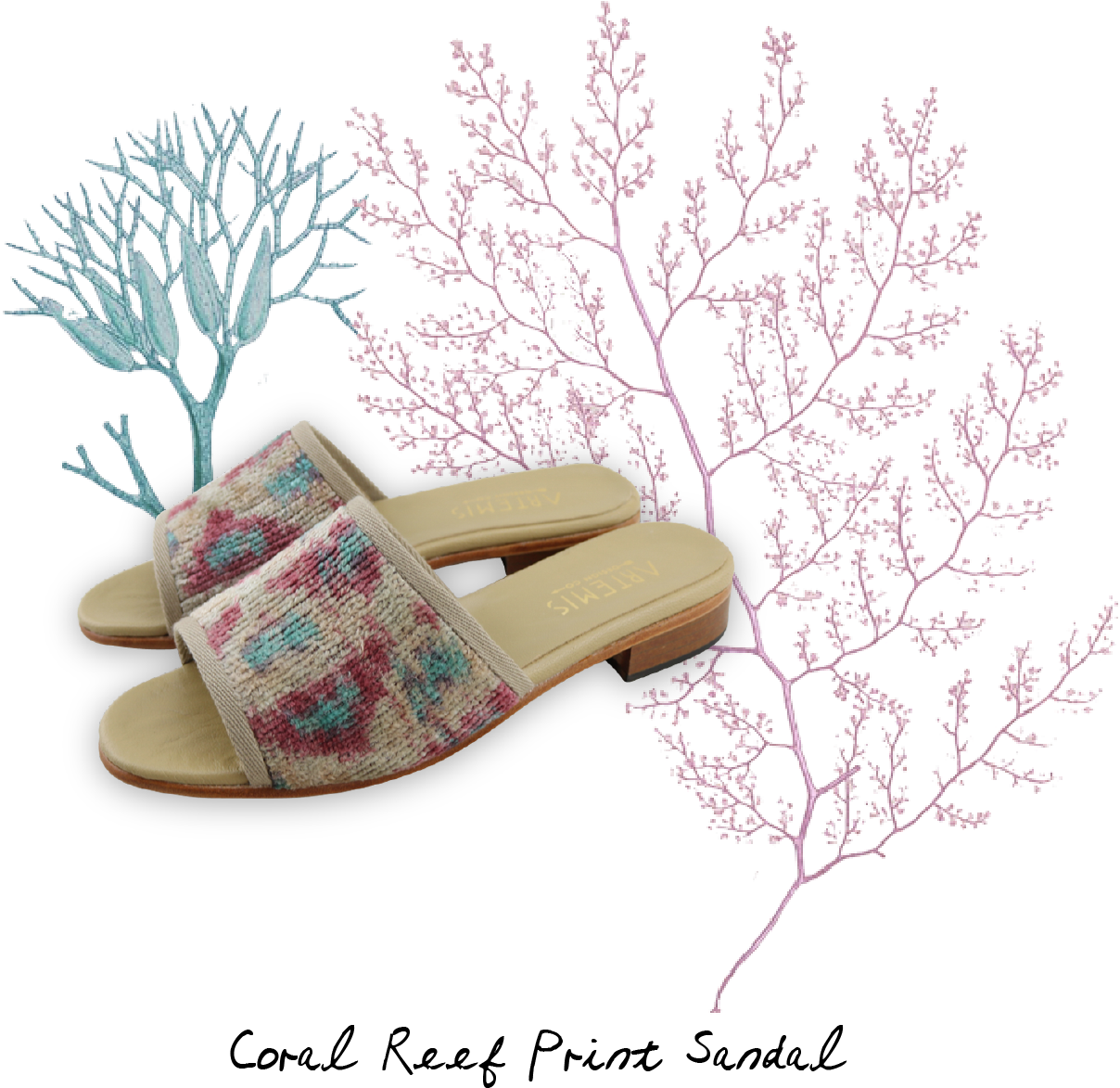 "new Collection - Flip-flops (1250x1197), Png Download