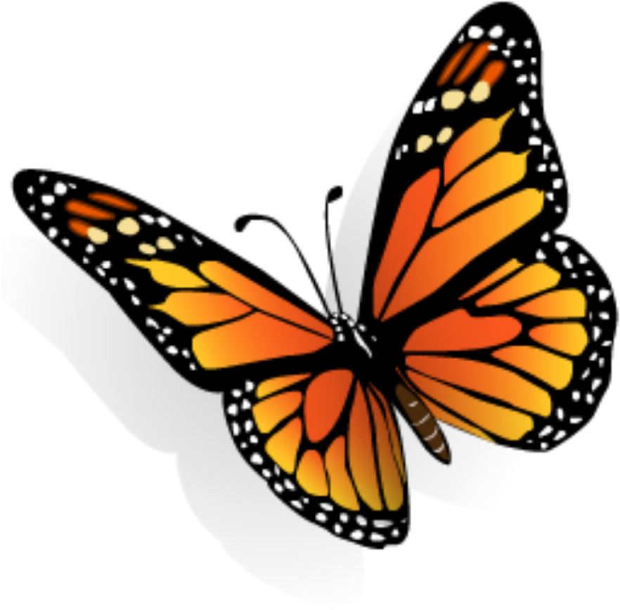 Buterffly Sticker - Butterfly 3d (1024x1024), Png Download