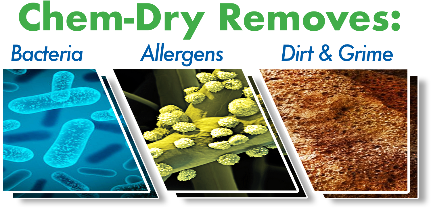 Wood Floor Cleaning Removes Bacteria, Allergens, And - Ras El Hanout (1581x786), Png Download