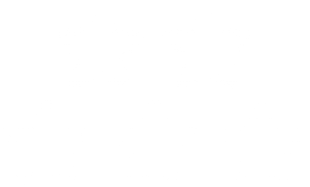 Five Stars Outlines - Illustration (1024x619), Png Download