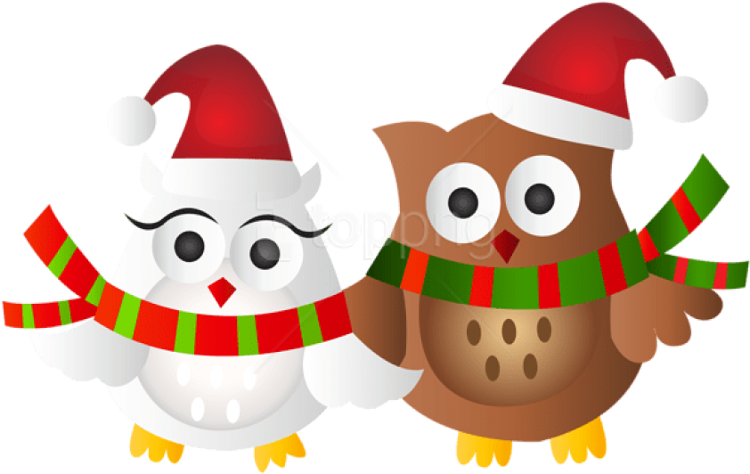 Christmas Owls Transparent Png - Clip Art Owl Christmas (850x535), Png Download