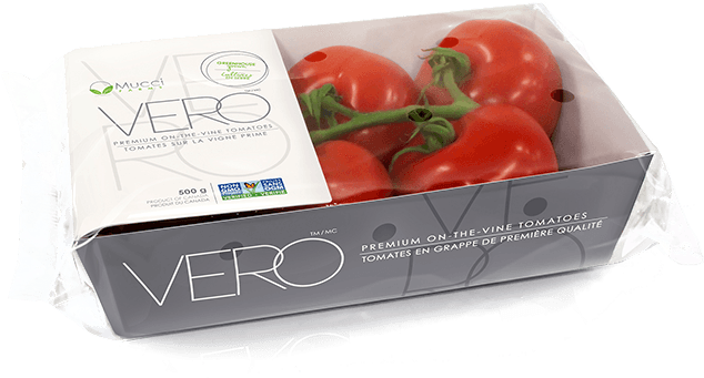 Vero Tray New - Plum Tomato (740x541), Png Download