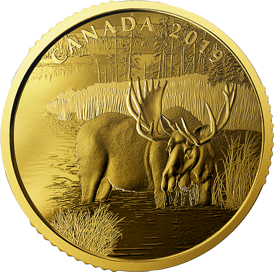 999% Pure Gold Coin - Gold Coin (570x570), Png Download