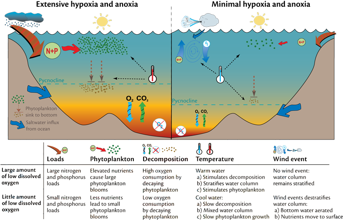 Ocean Water Column - Bp Oil Spill Diagram (701x465), Png Download