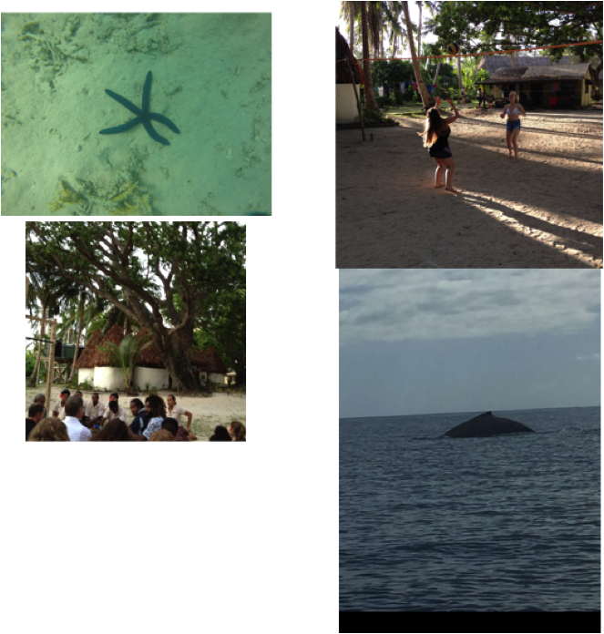 Though It Was A Bit Windy For Paddle Boarding The Students - Vacation (663x696), Png Download
