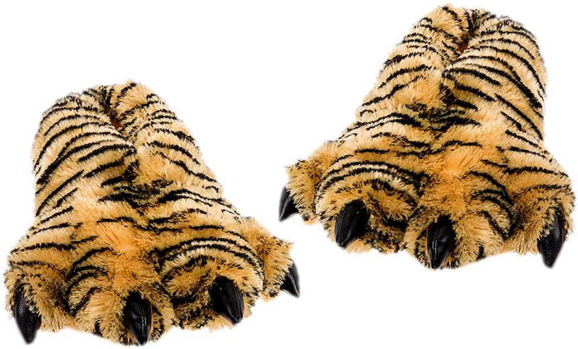 Paw (1000x1000), Png Download
