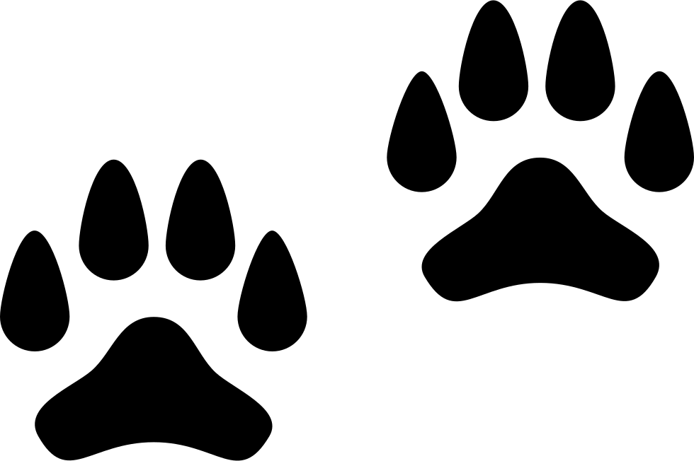 Pawprints Comments - Paw (980x652), Png Download
