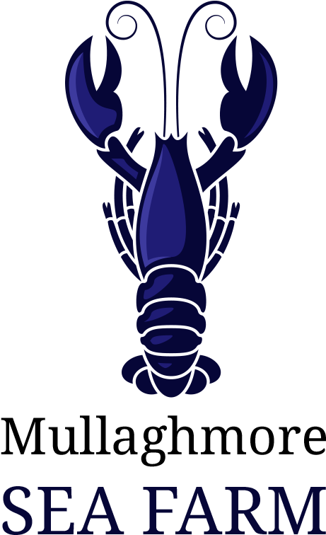 Lobster Sea Logo (500x800), Png Download
