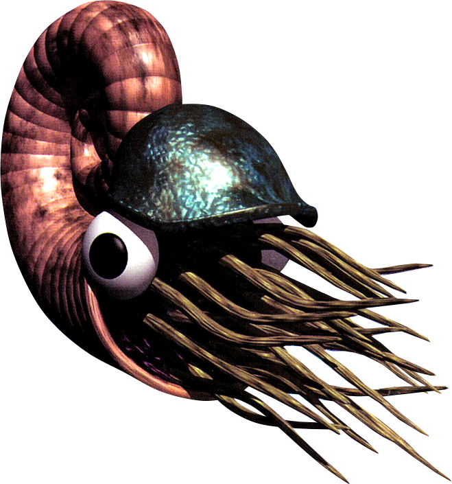 Chambered Nautilus (659x705), Png Download