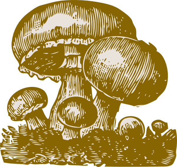 Small - Mushroom Art Vector Png (600x567), Png Download