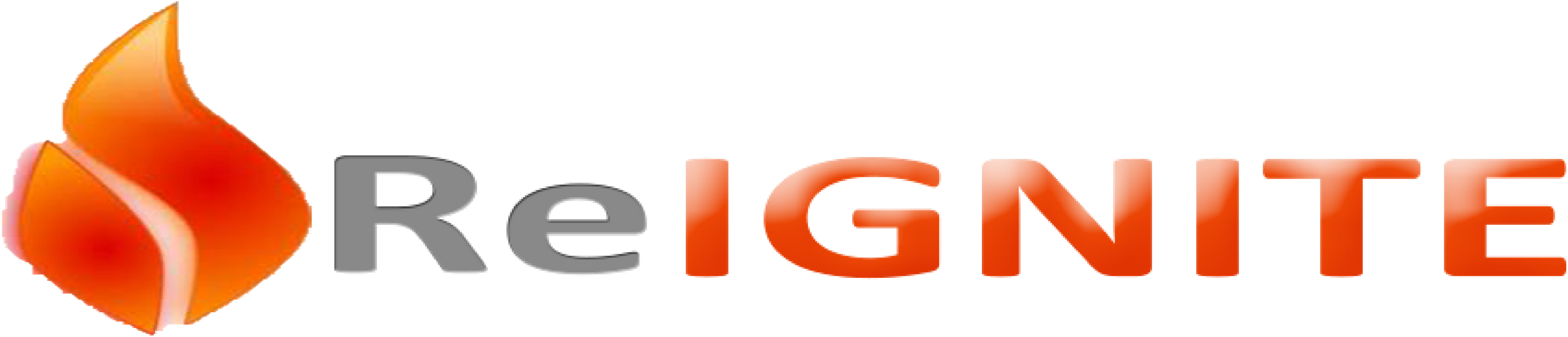 Cropped Website Logo 5o 2 - Orange (2721x1055), Png Download