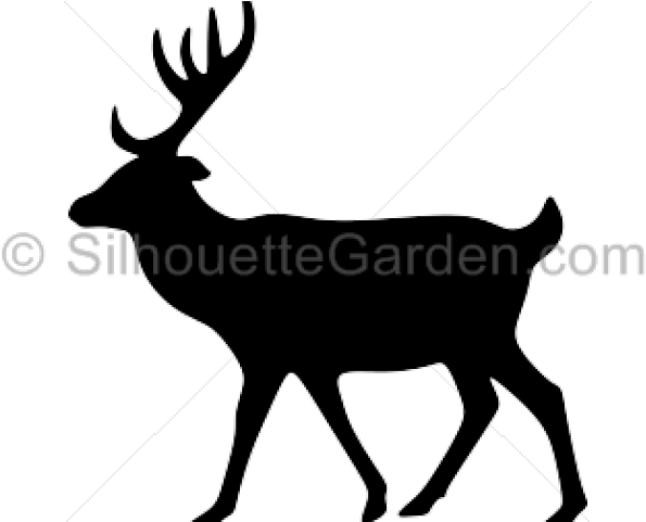 Elk (640x480), Png Download