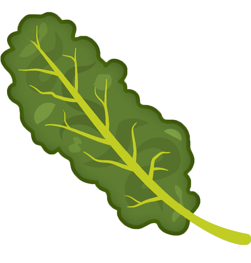 Kale Clipart Transparent - Transparent Background Kale Clipart (1200x900), Png Download