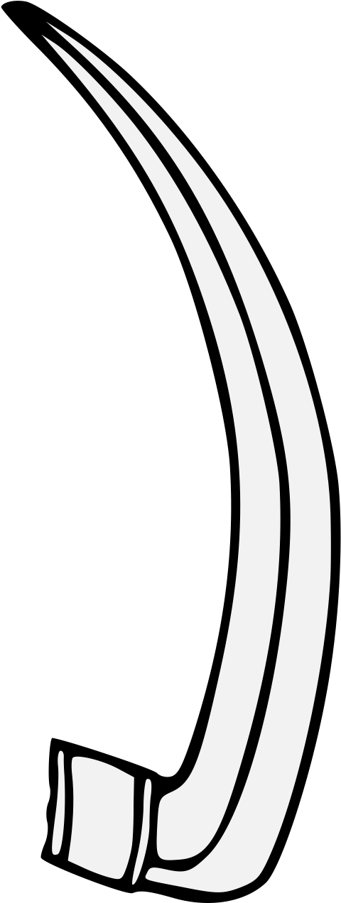 Details, Png - Line Art (487x1274), Png Download