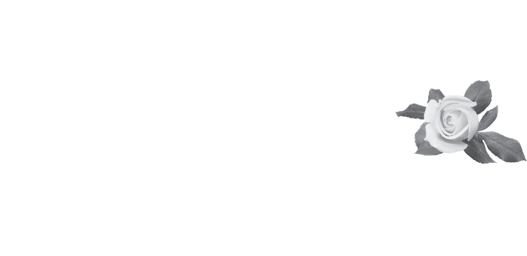 Png - Marvin Windows And Doors (1772x861), Png Download