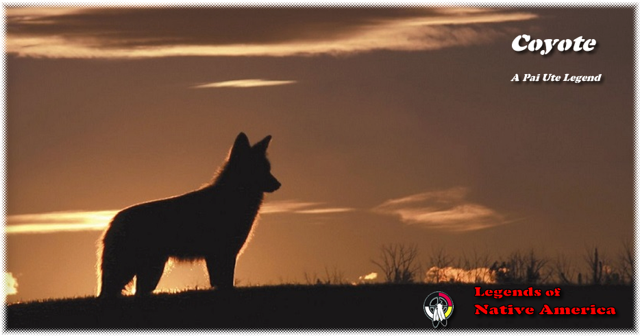 The Coyote, Like His Brother The Wolf, Was A Spiritual - Coyote (940x492), Png Download