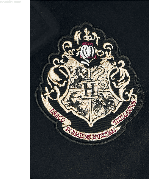 Harry Potter Weekly Planner 2019 (600x600), Png Download