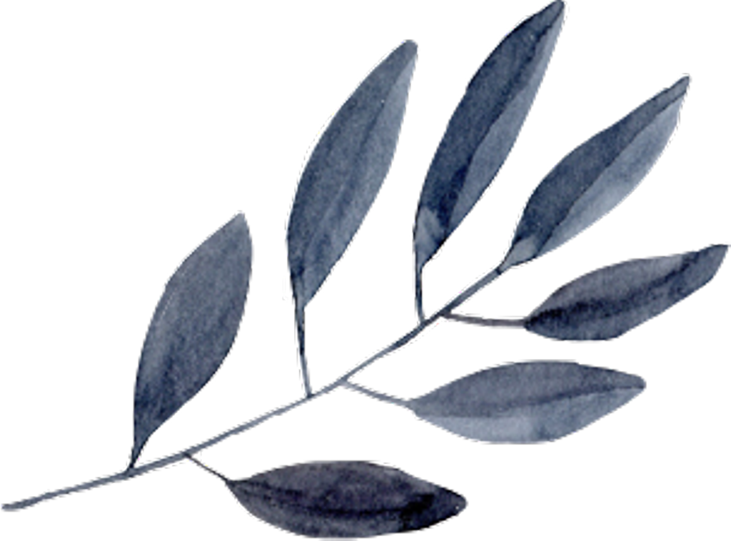 #watercolor #leaves #plants #nature #paint #freetoedit - Watercolor Leaves Png Transparent (1024x758), Png Download