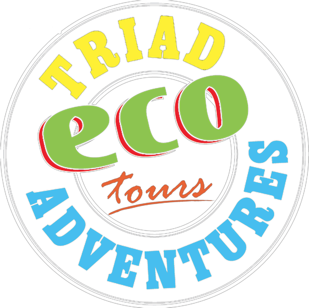 Sightseeing Tours In Winston-salem, Greensboro, & Highpoint - Hate Is Easy Love Takes (1330x1198), Png Download