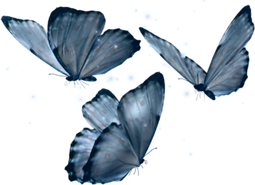 #butterfly #art #filter #newbrushes #blue #aesthetic - Transparent Butterfly Blue (1024x756), Png Download