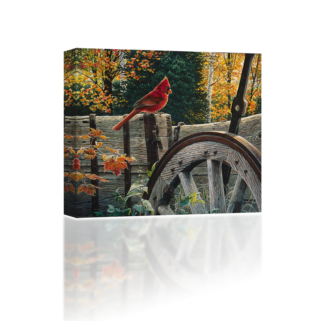 Cardinal Perched On A Fence - Northern Cardinal (1024x1024), Png Download